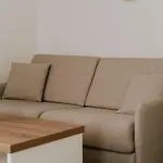 Zur Seemoewe
