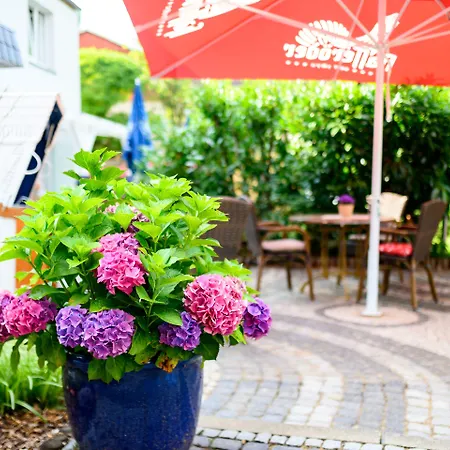 Zur Seemoewe Hotel Kirchdorf (Poel)